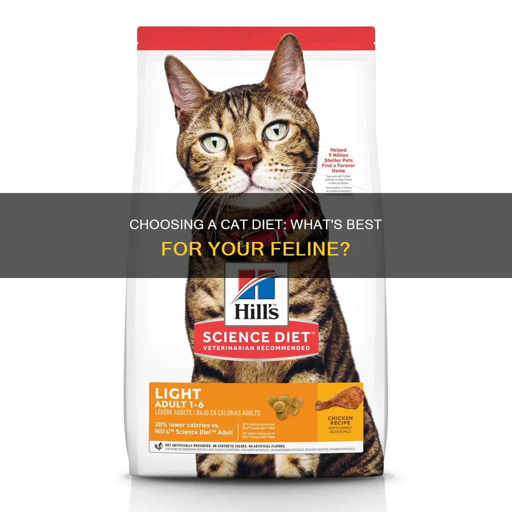 what kind of diet should i put my cat on