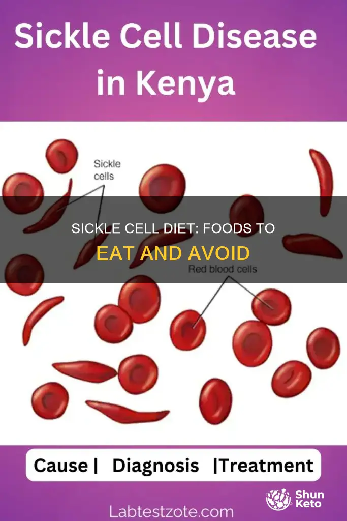 what kind of diet should peopl with sickle cell maintain