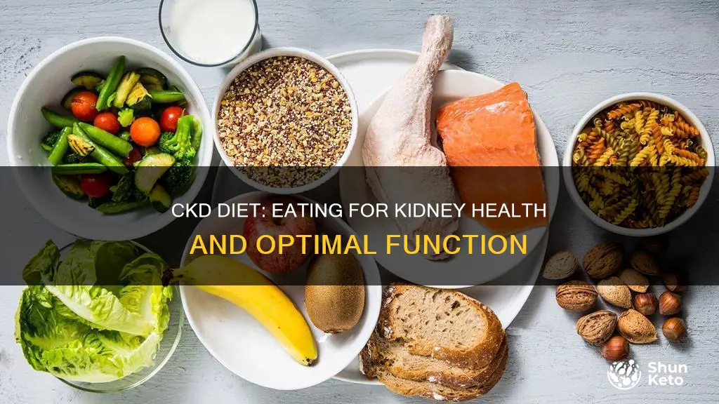 what kind of diet should you be on with ckd