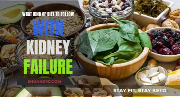 Kidney Failure: Dietary Restrictions and Recommendations