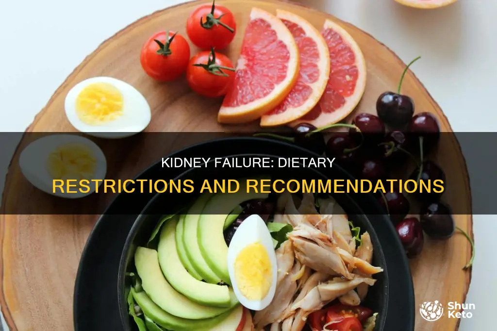 what kind of diet to follow with kidney failure