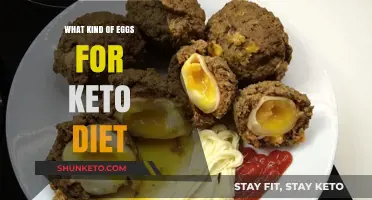 Best Keto-Friendly Eggs: Types, Benefits, and Low-Carb Choices