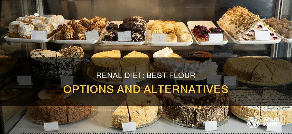 what kind of fliurbon a renal diet