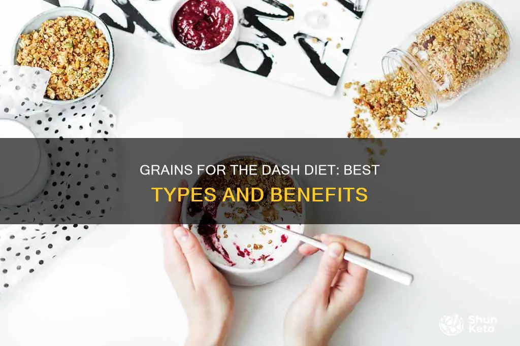 what kind of grains for dash diet
