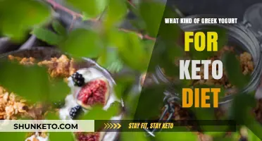 Best Greek Yogurt Options for a Keto-Friendly Diet Plan