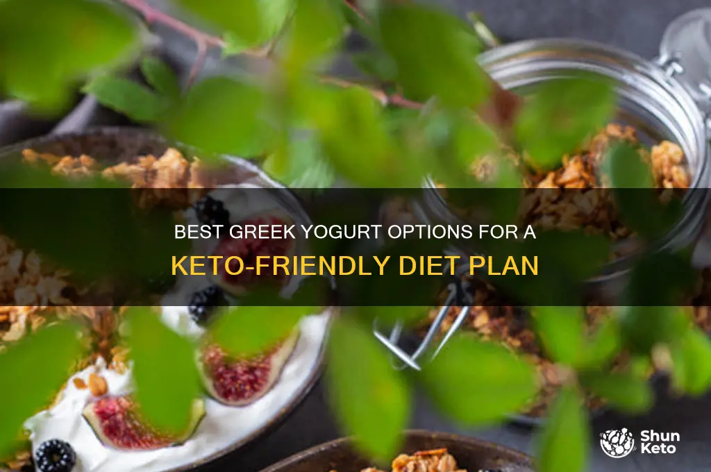 what kind of greek yogurt for keto diet