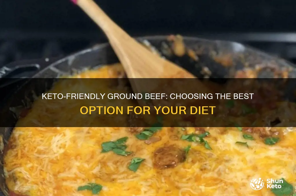 what kind of ground beef for keto diet