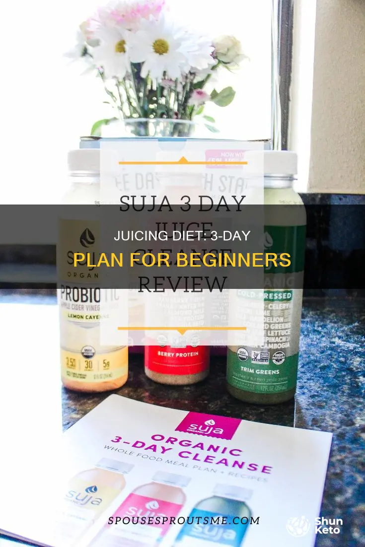 what kind of juices to prepare for 3 days diet