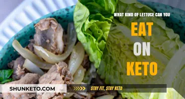 Keto-Friendly Lettuce Varieties: Best Low-Carb Options for Your Diet