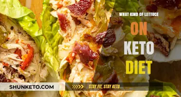 Keto-Friendly Lettuce Choices: Best Low-Carb Options for Your Diet