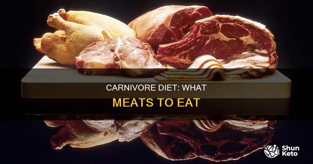 what kind of meat on carnivore diet