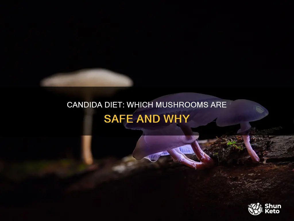 what kind of mushrooms okay on candida diet