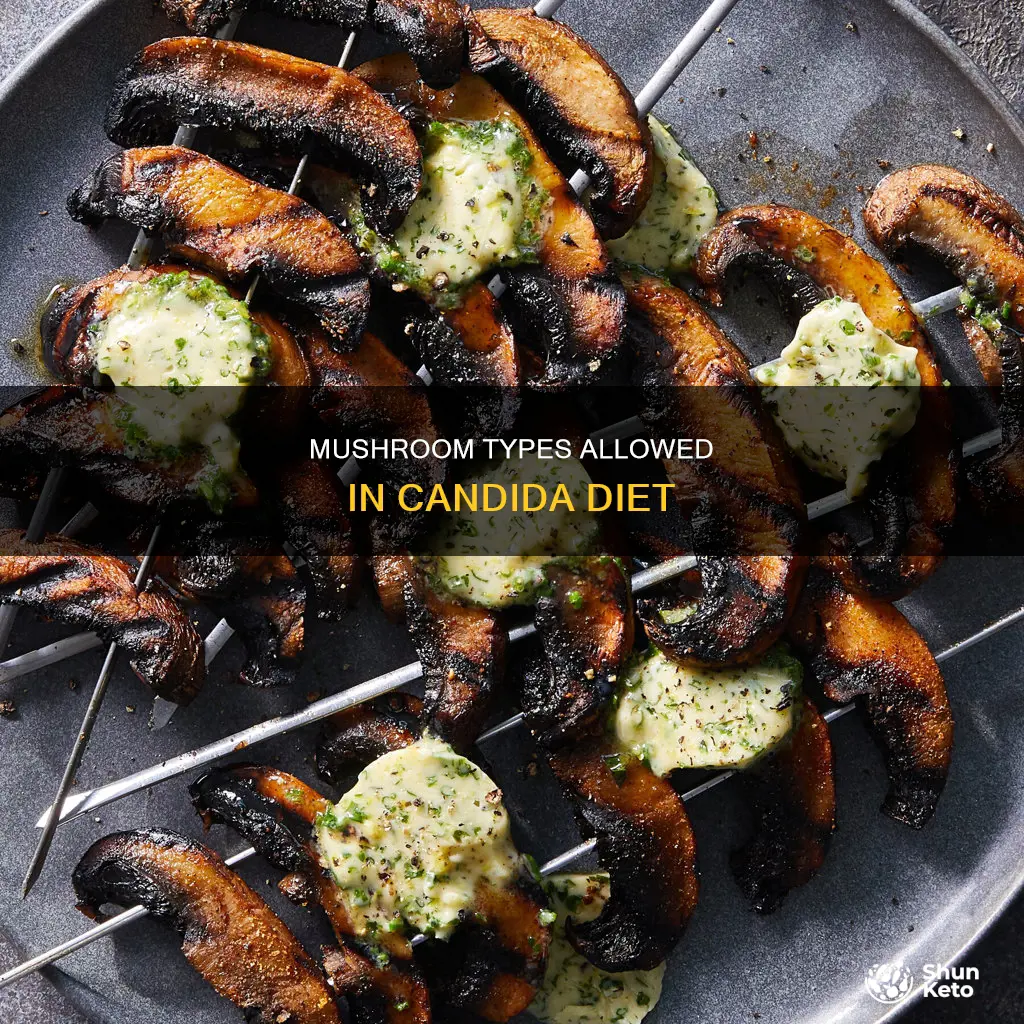 what kind of mushrooms okay on candida diet