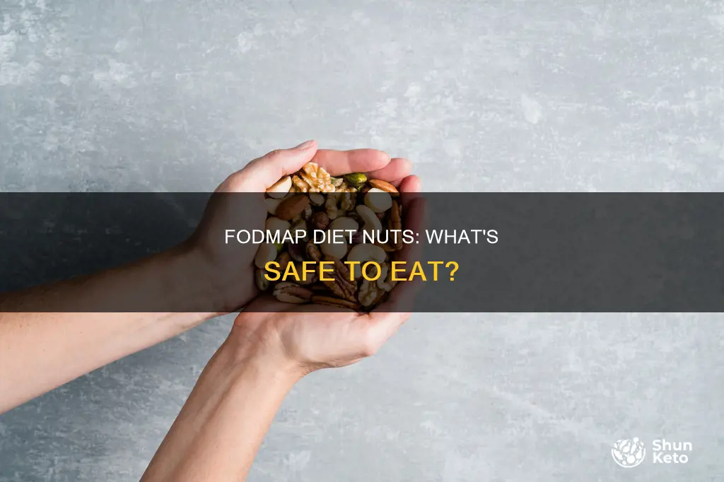 what kind of nuts are on the fodmap diet