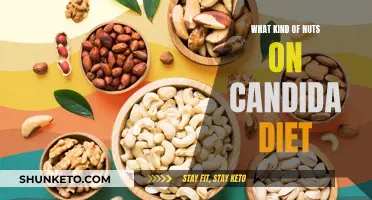 Nuts and Seeds: Candida Diet-Friendly Choices