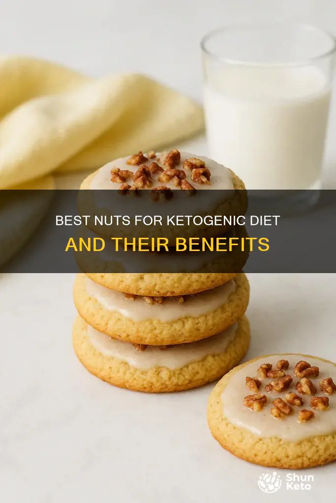 what kind of nuts on ketogenic diet