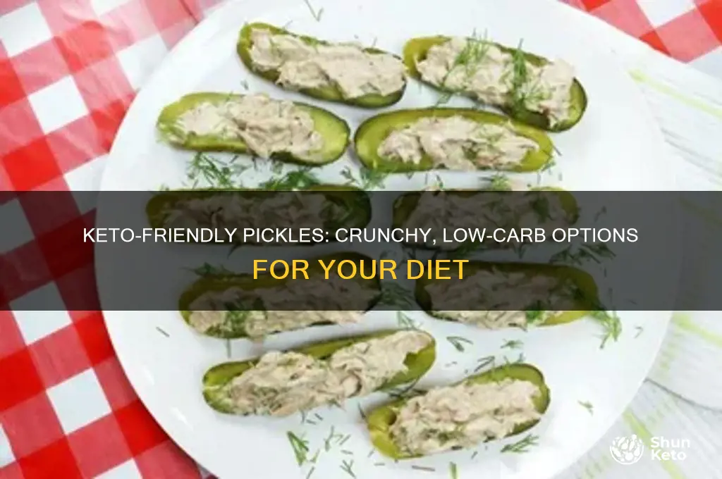 what kind of pickles can you have on keto diet