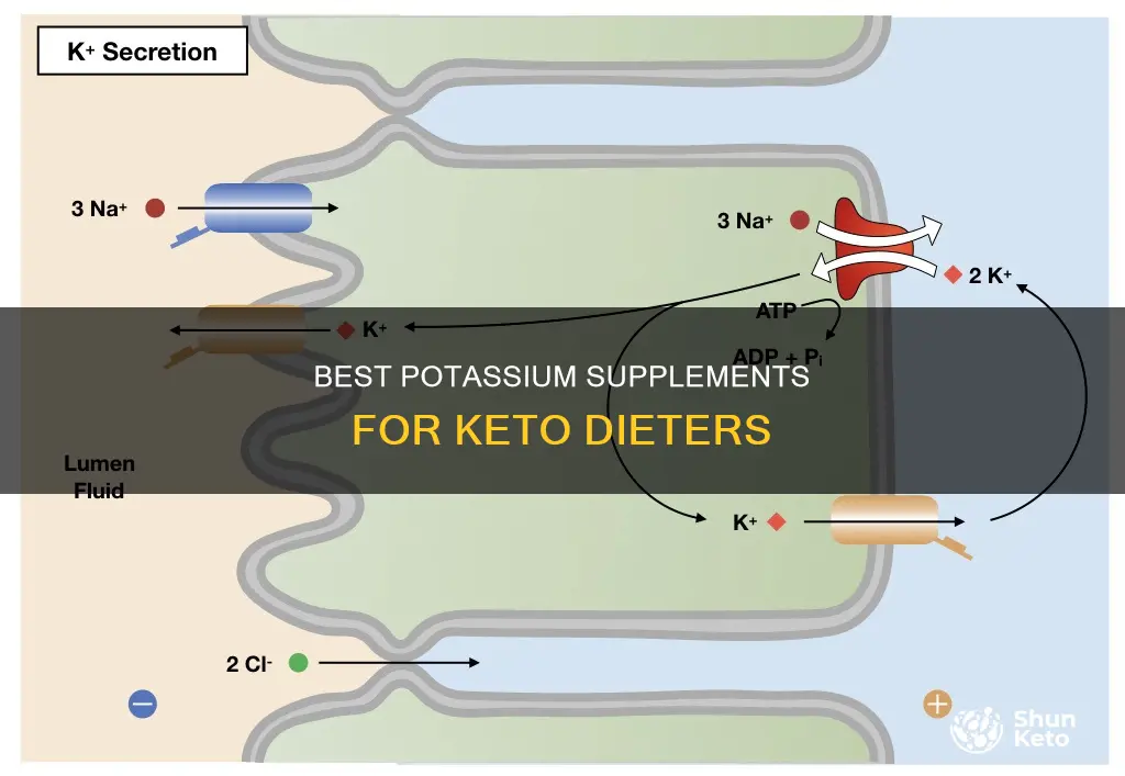 what kind of potassium is the best absorption on keto