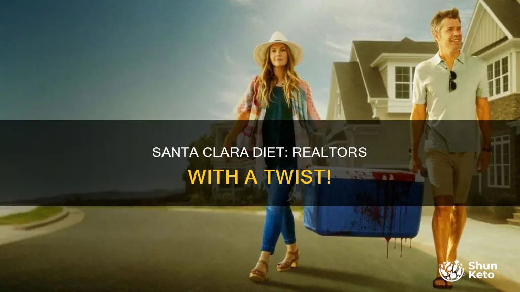 what kind of realtor are you santa clara diet