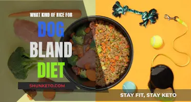 Rice Options for a Dog's Bland Diet