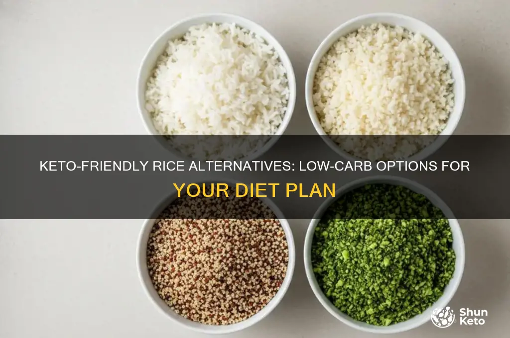 what kind of rice for keto diet