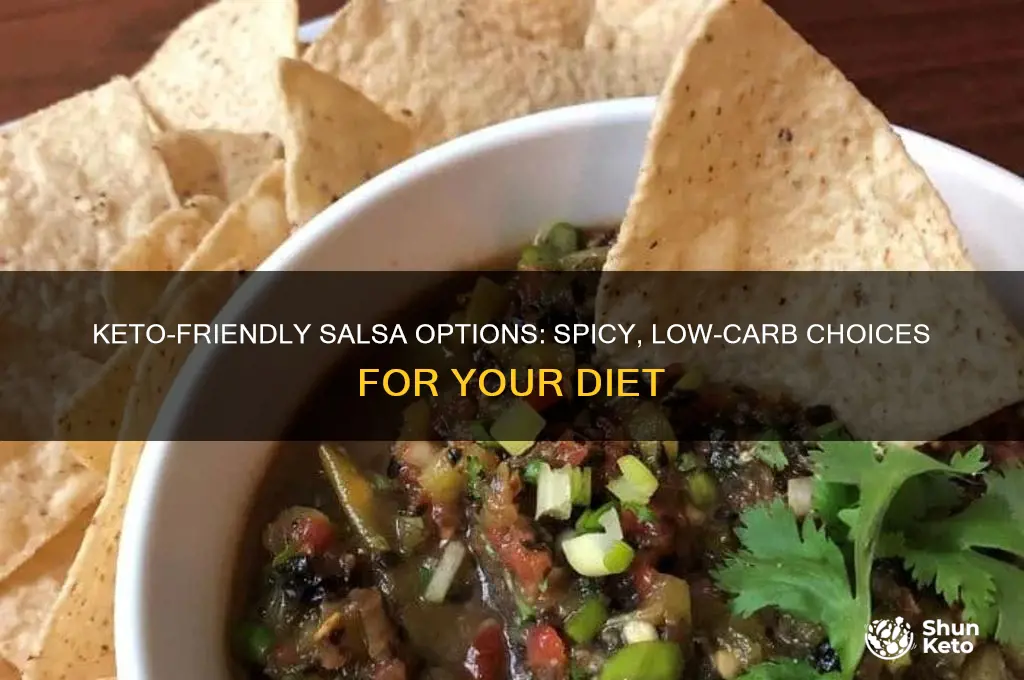 what kind of salsa can i useon keto siet