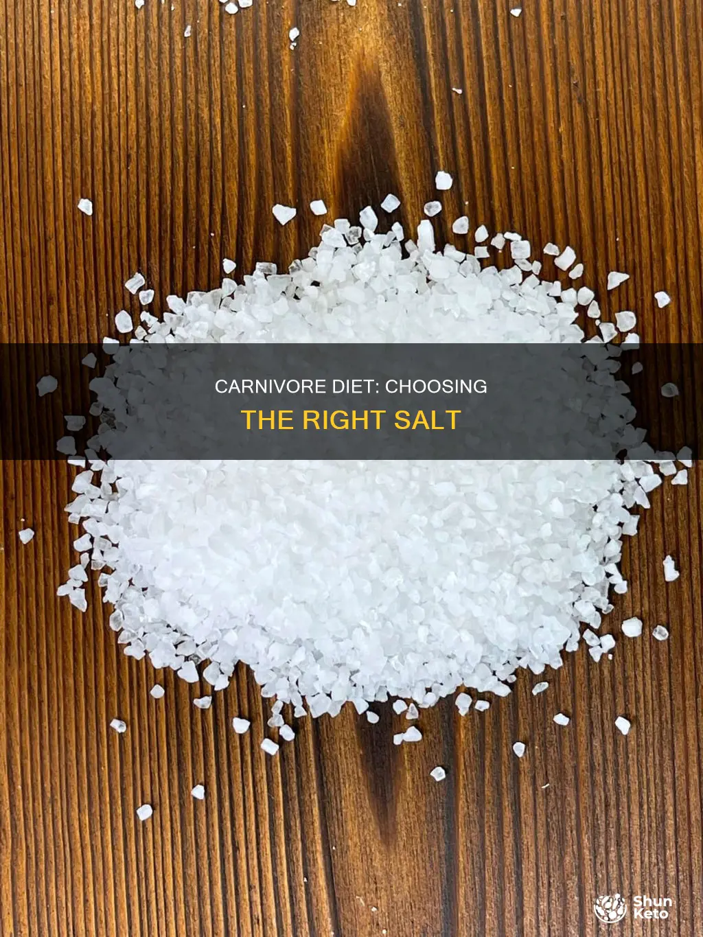 what kind of salt for carnivore diet