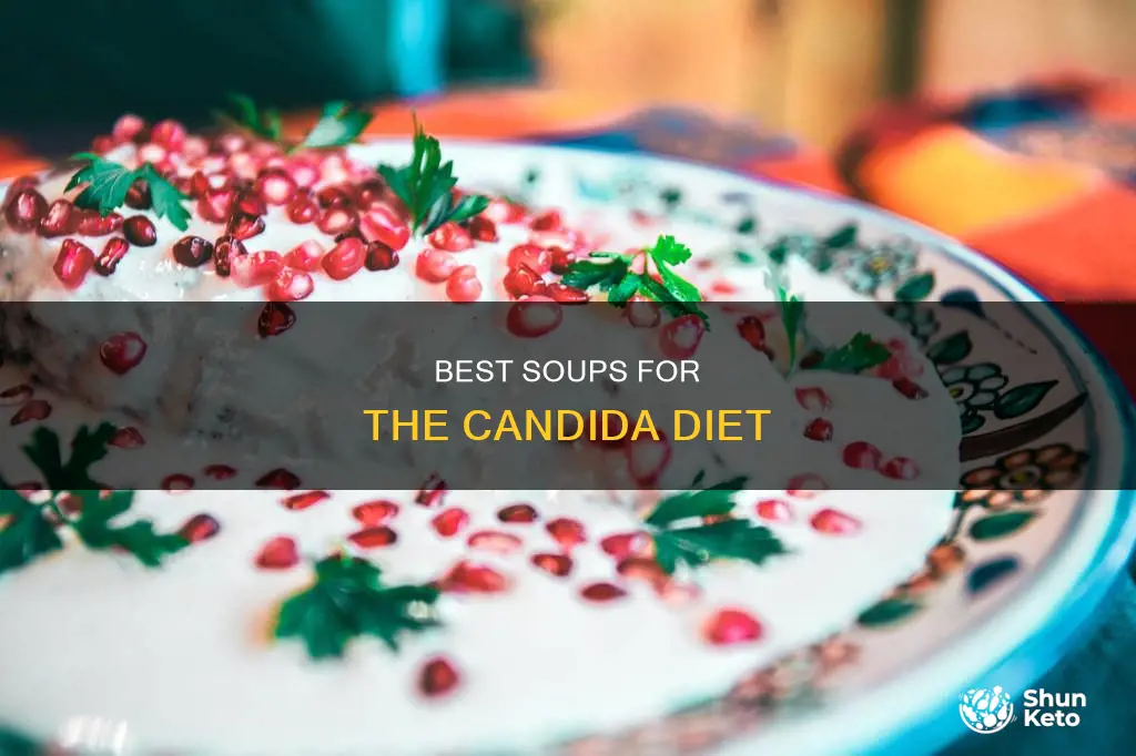 what kind of soup to make for the candida diet