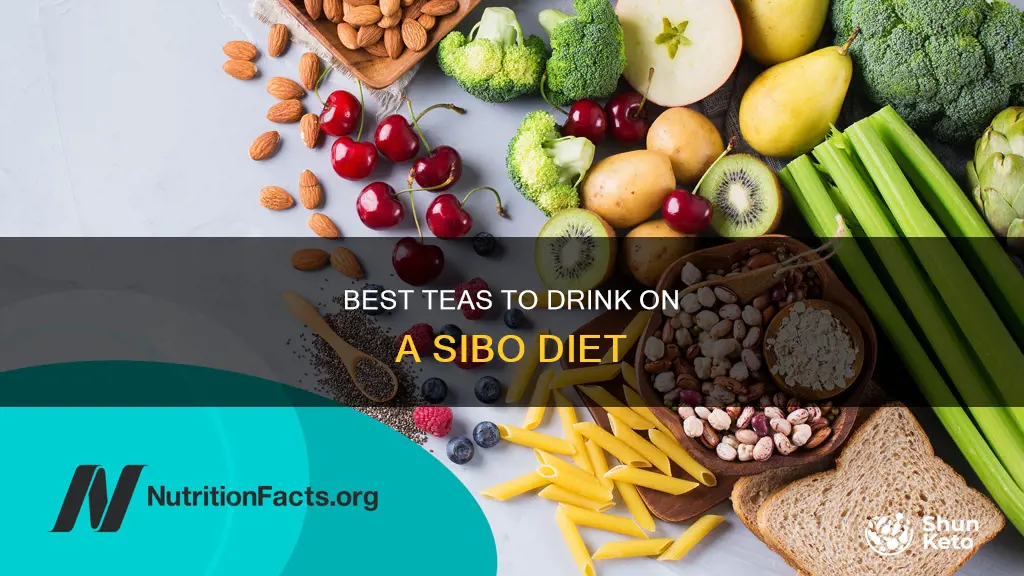 what kind of tea to drink on a sibo diet