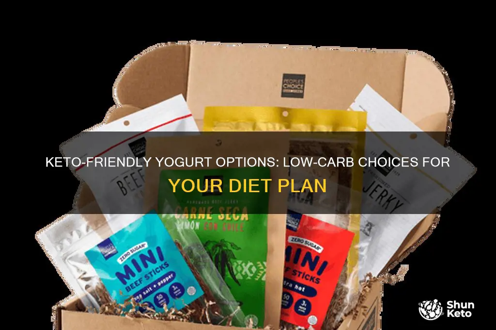 what kind of yogurt can i have on keto diet