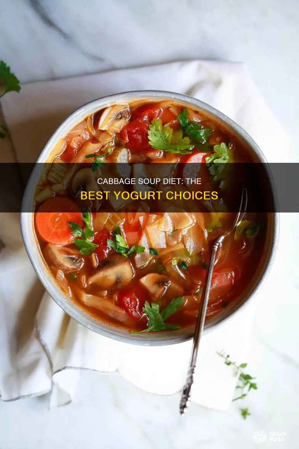 what kind of yogurt on cabbage soup diet