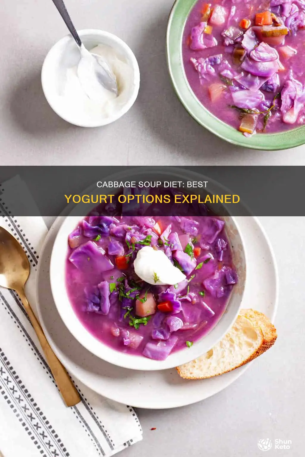 what kind of yogurt on cabbage soup diet