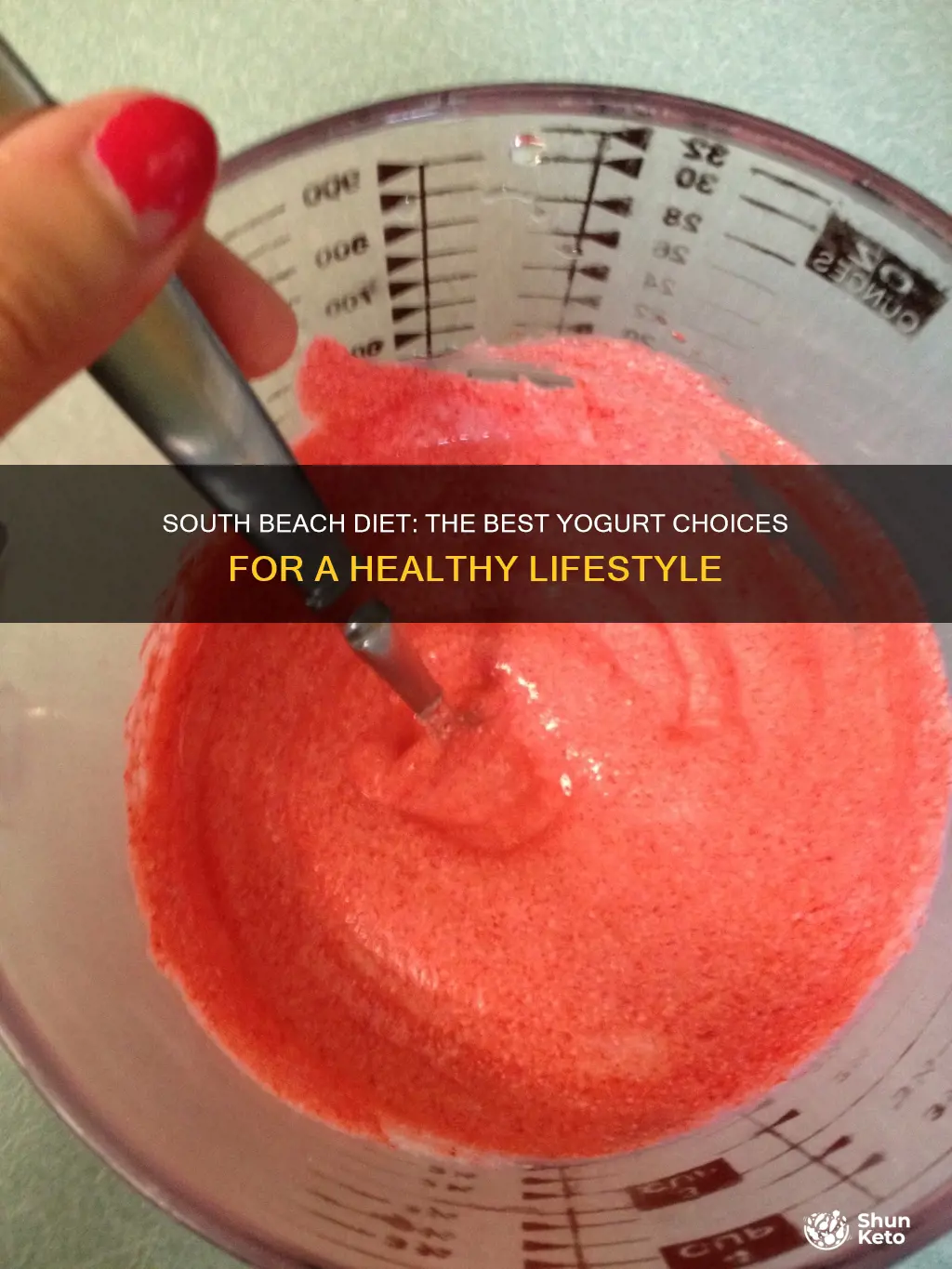 what kind of yogurt under south beach diet