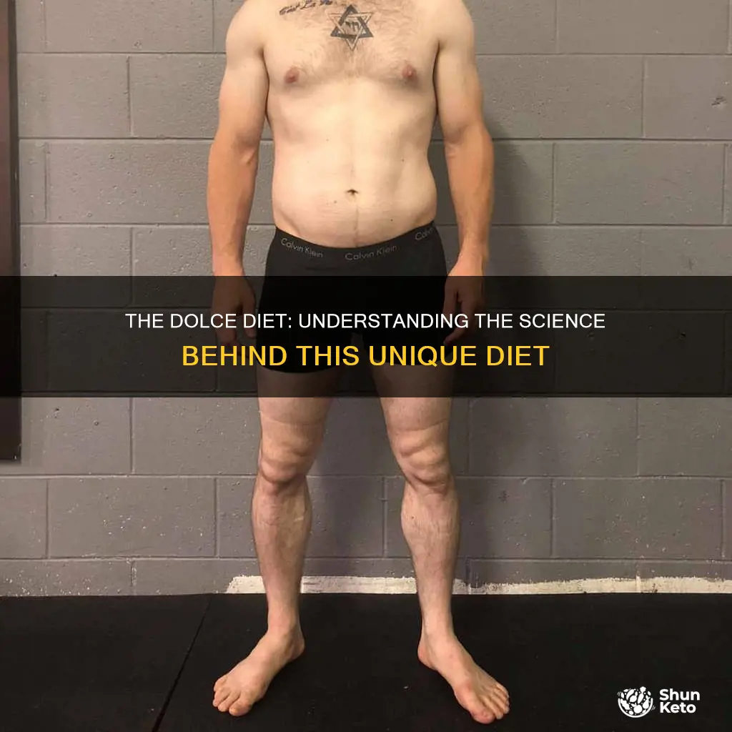 what kinda diet is the dolche diet