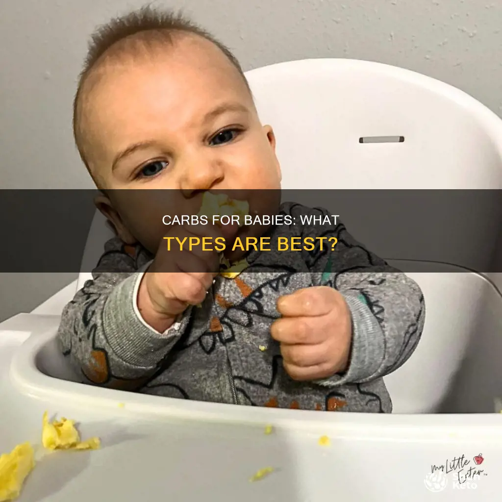 what kinds of carbs are in infant diet