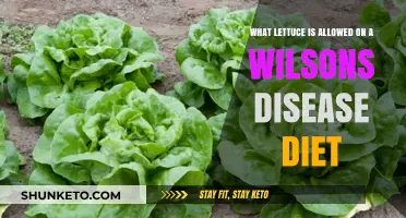 Lettuce Options for Wilson's Disease Diet