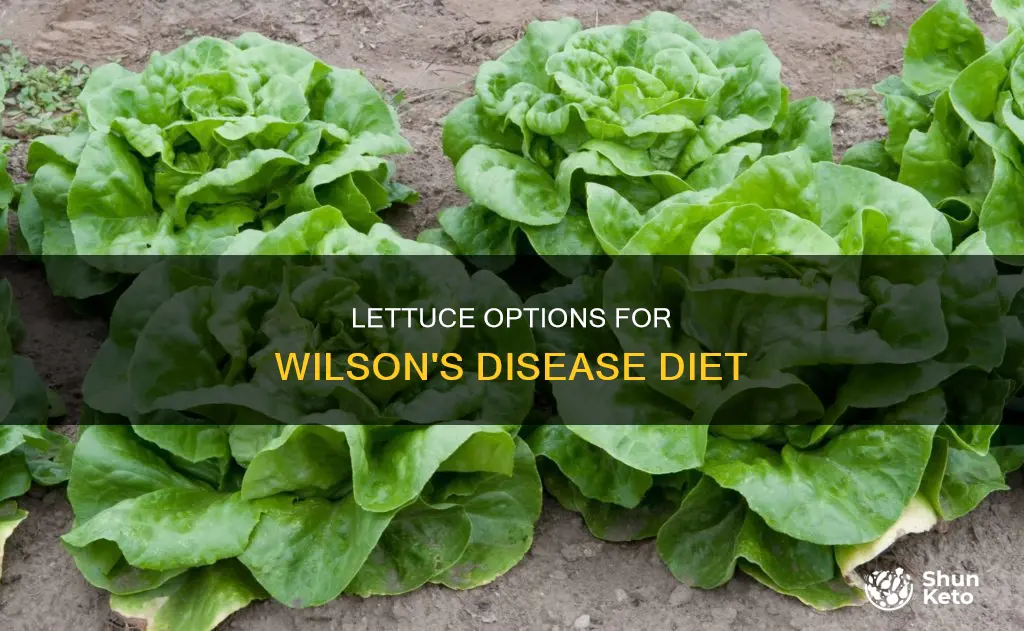 what lettuce is allowed on a wilsons disease diet