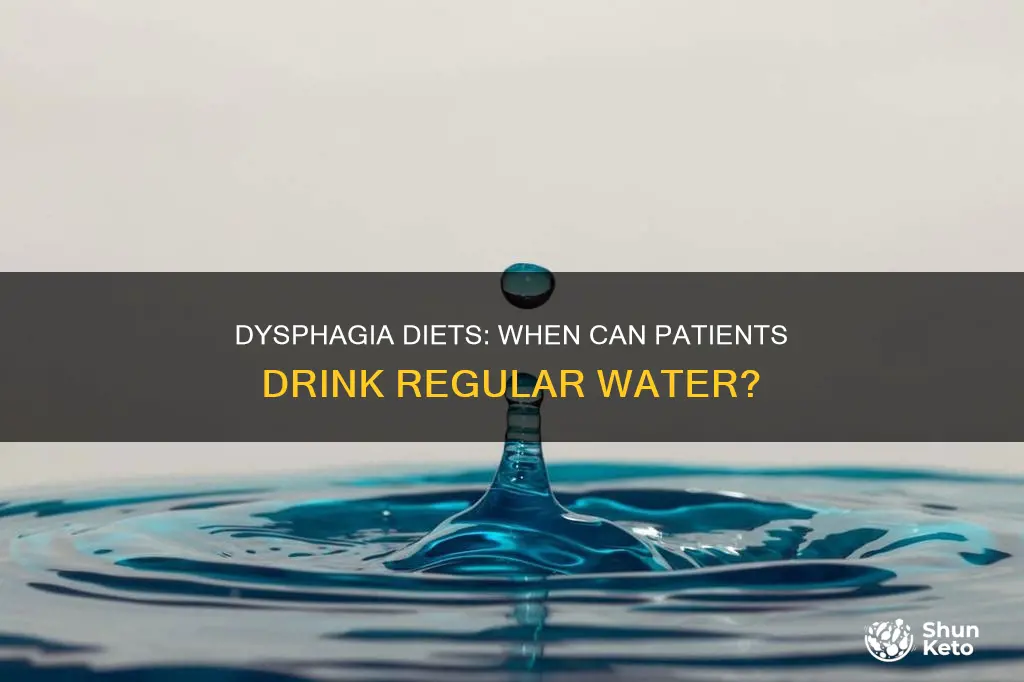 what level dysphagia diet allows regular water