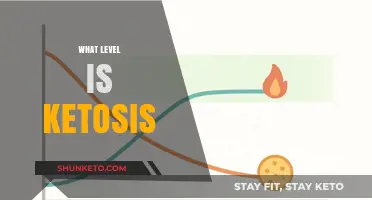 Understanding Ketosis Levels: A Comprehensive Guide to Achieving Optimal Ketosis
