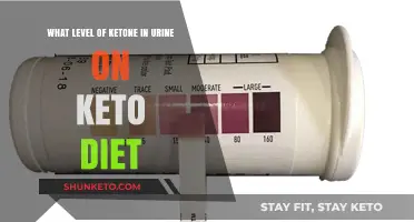 Understanding Ketone Levels in Urine While on a Keto Diet