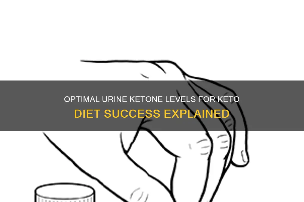 what level should urine be for the keto diet