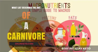 Carnivore Diet: A Meat-Based Eating Plan