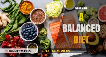 Building a Balanced Diet: Key Components