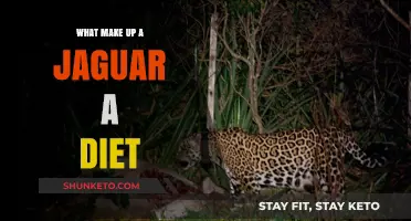 Jaguar Diet: What Do They Eat and Why?
