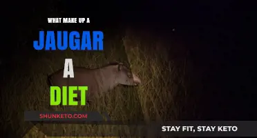 Jaguar Diet: What Fuels the Big Cat?