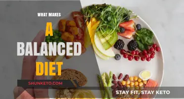 Building a Balanced Diet: The Essential Components