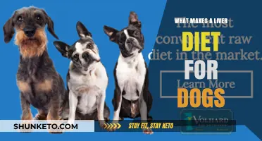 Liver Diet for Dogs: What's Good for Your Pooch?