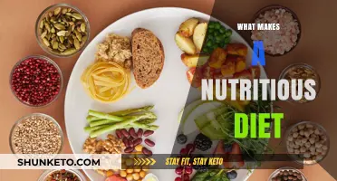 Nutrition Basics: Building a Healthy Diet