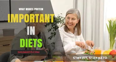 Protein Power: Why It's Essential in Your Diet