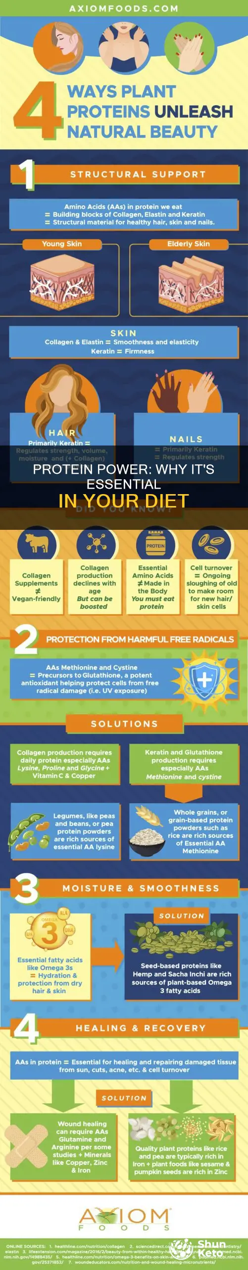what makes protein important in diets